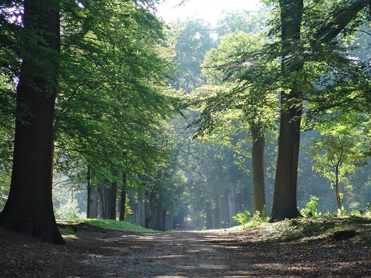 Luxe Safaritent Medley 5 Persoons Op Camping Rijsterbos المظهر الخارجي الصورة